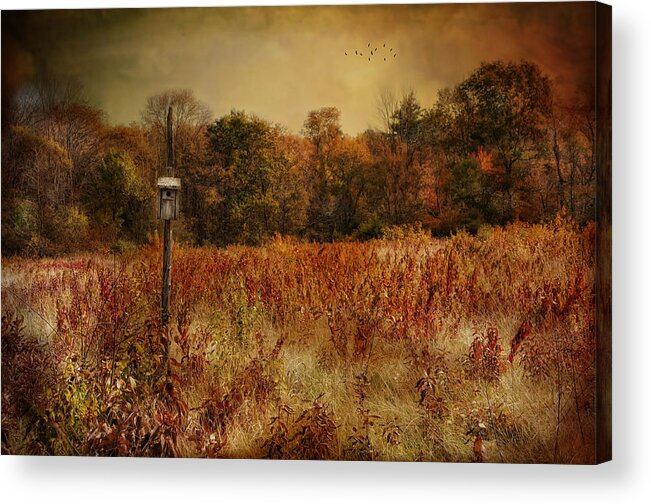 Bird House Acrylic Print featuring the photograph Until Spring by Robin-Lee Vieira