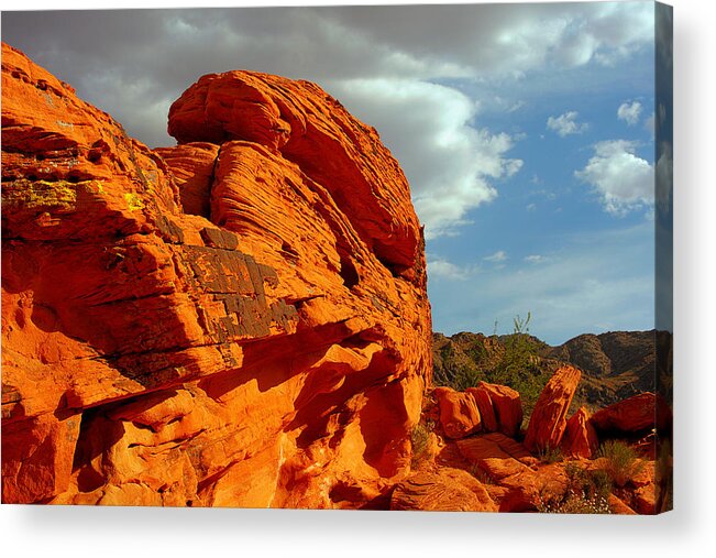 Nevada Acrylic Print featuring the photograph Valley of Fire - Born to be wild by Alexandra Till