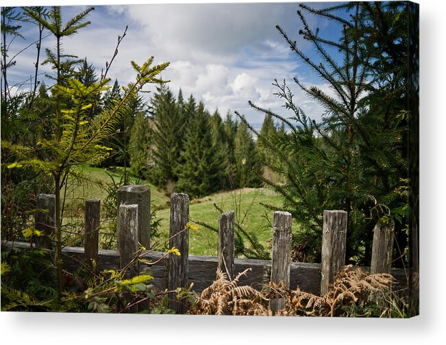 Mattole Road Acrylic Print featuring the photograph View from Picket Fence by Greg Nyquist