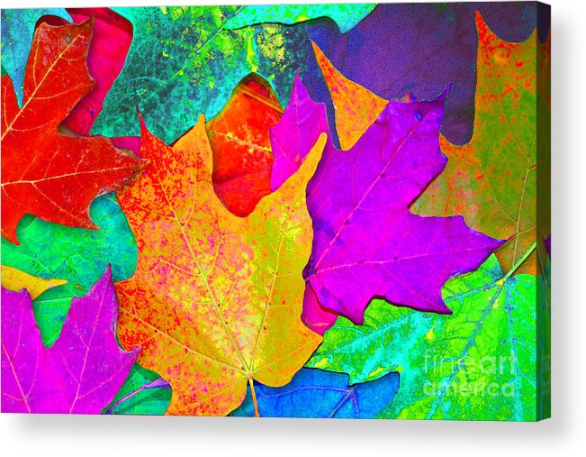 Ginny Gaura Acrylic Print featuring the photograph Vivid Leaves 1 by Ginny Gaura