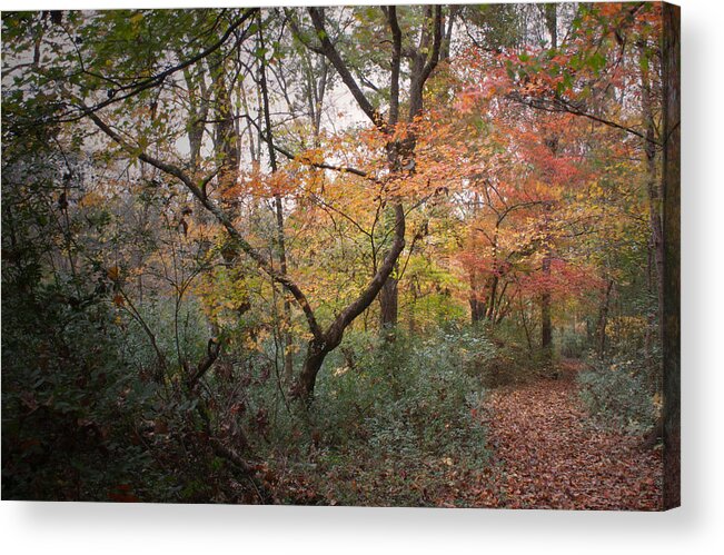 Autumn Acrylic Print featuring the photograph Walk of Change by David Troxel