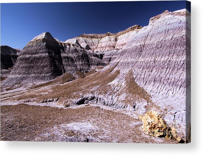 Petrified Forest National Park Acrylic Print featuring the photograph Wall Of Purple by Adam Jewell