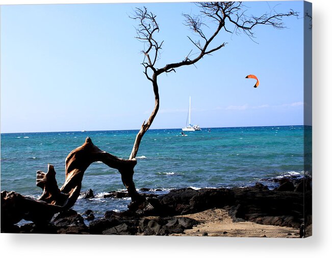 kite Boarding Acrylic Print featuring the photograph Water Sports in Hawaii by Karen Nicholson