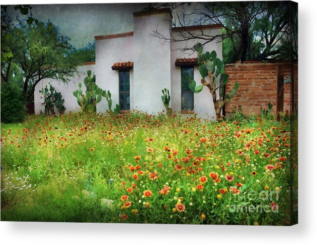 Arizona Acrylic Print featuring the photograph When a House is a Home by Barbara Manis