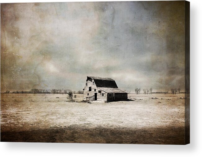 Barn Acrylic Print featuring the photograph Wide Open Spaces by Julie Hamilton