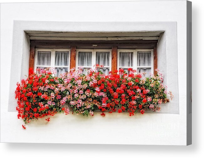 Window Acrylic Print featuring the photograph Windows with red flowers by Mats Silvan