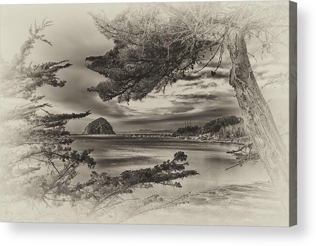 Morro Bay Acrylic Print featuring the photograph Windy Cove BW by Beth Sargent