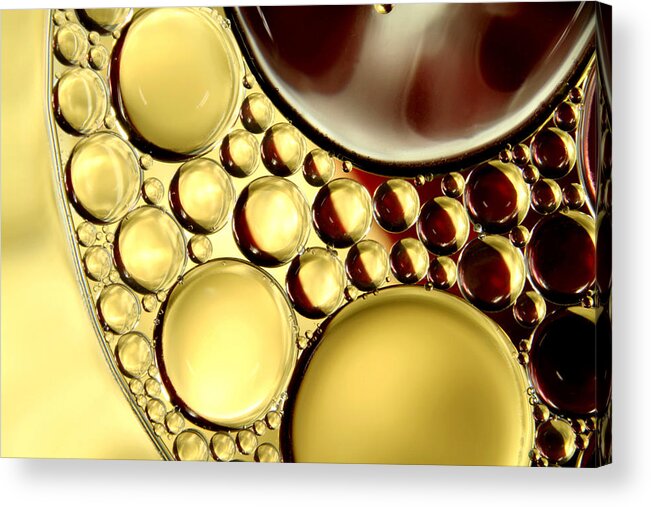 Oil Acrylic Print featuring the photograph Winter Abstract Collection II by Sharon Johnstone