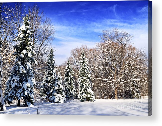 Winter Acrylic Print featuring the photograph Winter forest with snow by Elena Elisseeva