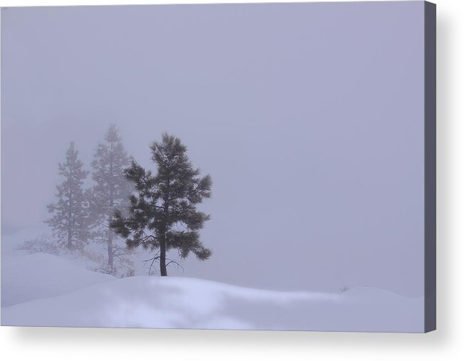 Winter Silence Acrylic Print featuring the photograph Winter Silence by Viktor Savchenko