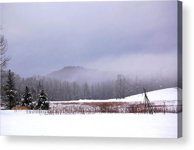 Winter Scene Acrylic Print featuring the photograph Winter Strata by Mary McAvoy