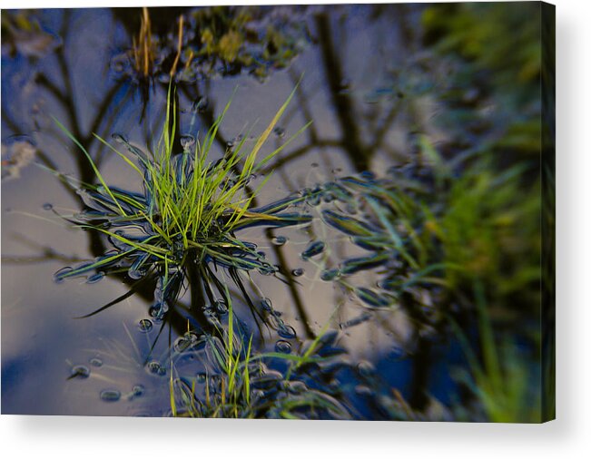 Rain Acrylic Print featuring the photograph Winter Water by Paul Roach