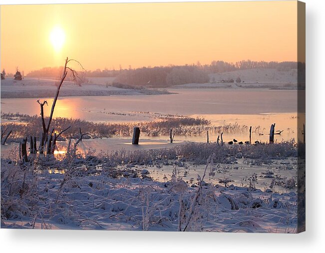 Lake Zorinksy Acrylic Print featuring the photograph Winter's Morning by Elizabeth Winter