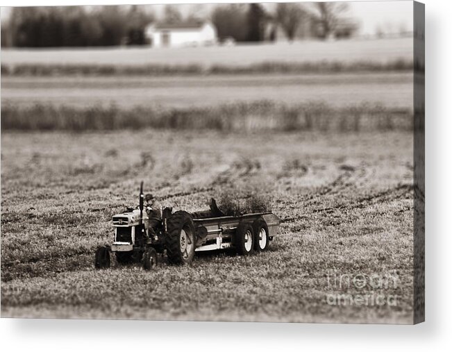 Farmer Acrylic Print featuring the photograph Yard Work by Traci Cottingham