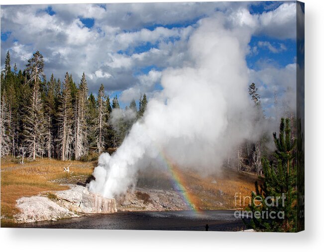 Usa Acrylic Print featuring the photograph Yellowstone by Milena Boeva