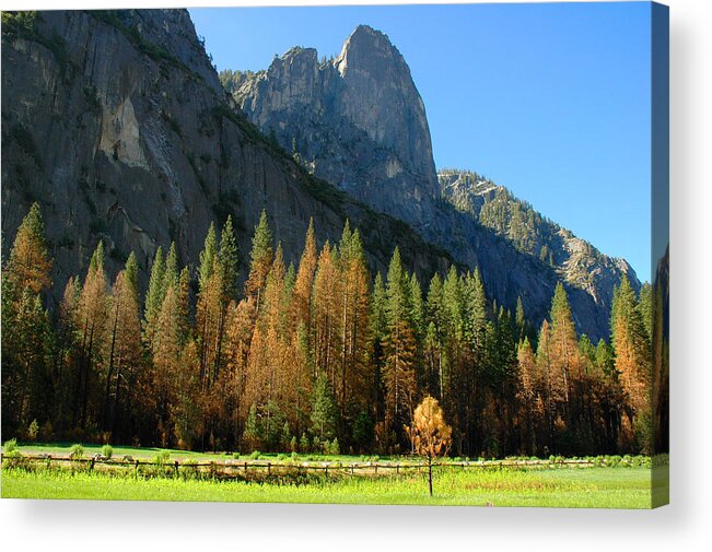 Yosemite Acrylic Print featuring the photograph Yosemite Valley by Lynn Bauer