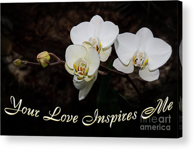 Beautiful Acrylic Print featuring the photograph Your Love Inspires Me by Andee Design