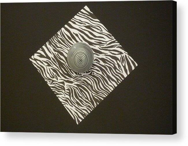 Black And White Acrylic Print featuring the photograph Zebra Square by Douglas Fromm