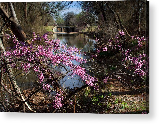 Landscape Acrylic Print featuring the photograph Redbuds and a Distant Bridge by Richard Smith