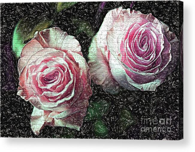 Roses Acrylic Print featuring the photograph Romantisme Poetique by Diana Mary Sharpton