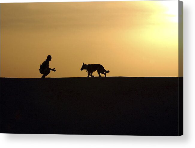 Operation Iraqi Freedom Acrylic Print featuring the photograph A Military Working Dog And His Handler #1 by Stocktrek Images