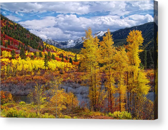 Fall Colors Acrylic Print featuring the photograph A Symphony of Colors #1 by Tim Reaves