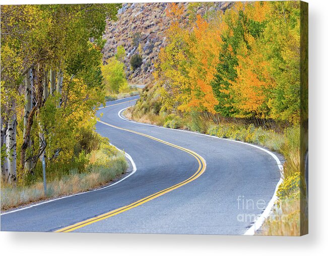 Eastern Sierra Acrylic Print featuring the photograph Along The June Lake Loop #1 by Mimi Ditchie