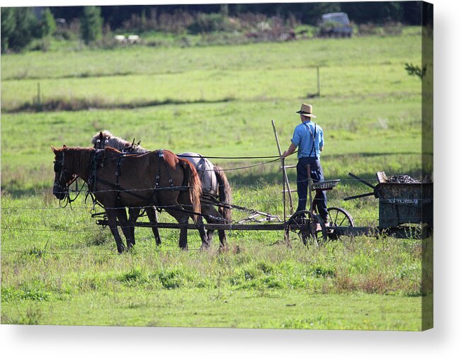 Amish Acrylic Print featuring the photograph Amish Spreading Manure #1 by Brook Burling