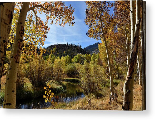 Fall Colors Acrylic Print featuring the photograph Autumn in Bishop Creek #1 by Dung Ma