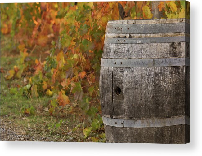 Beer Acrylic Print featuring the photograph Barrel #3 by Brandon Bourdages