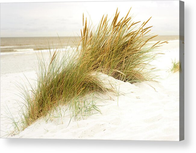 Europe Acrylic Print featuring the photograph Beach Grass #1 by Hannes Cmarits