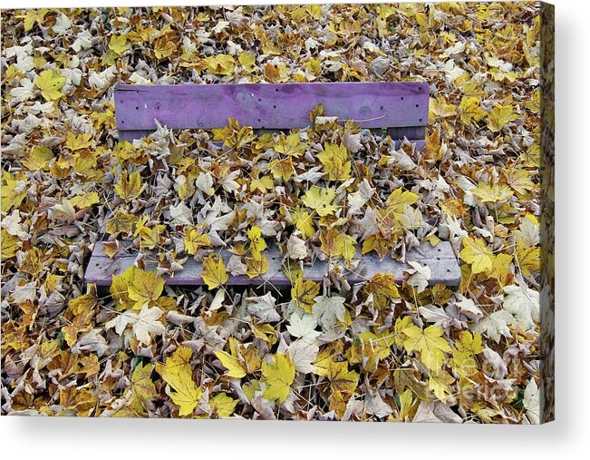 Autum Acrylic Print featuring the photograph Bench covered in fallen leaves #1 by Michal Boubin