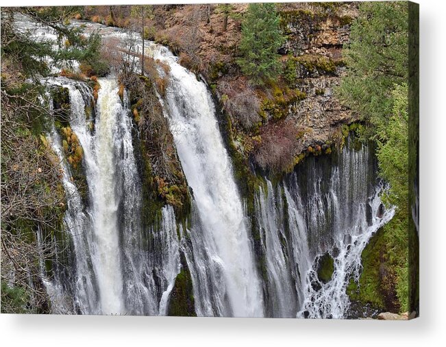 Burney Falls Acrylic Print featuring the photograph Burney Falls #1 by Maria Jansson