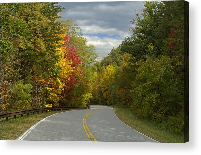 Road Acrylic Print featuring the photograph Cherohala Skyway in Autumn Color #1 by Darrell Young