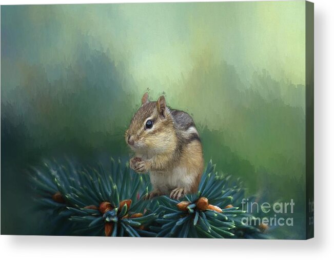 Chipmunk Acrylic Print featuring the photograph Cutie #1 by Eva Lechner