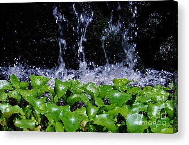 Water Acrylic Print featuring the photograph Dancing Water #1 by Craig Wood