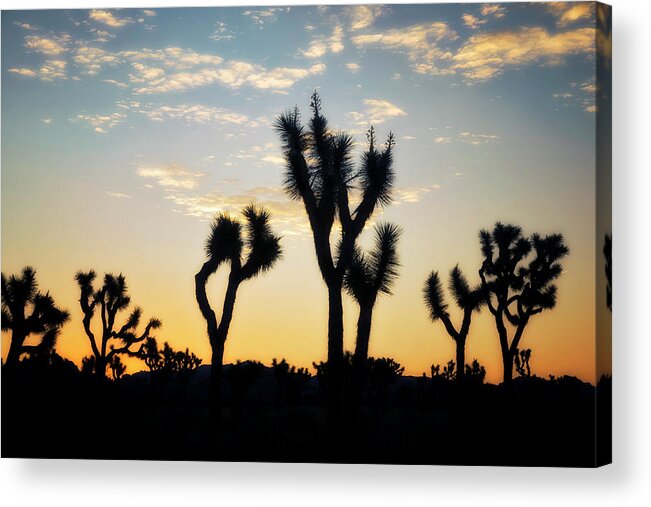 Coachella Valley Acrylic Print featuring the photograph Day Break #1 by Nicki Frates