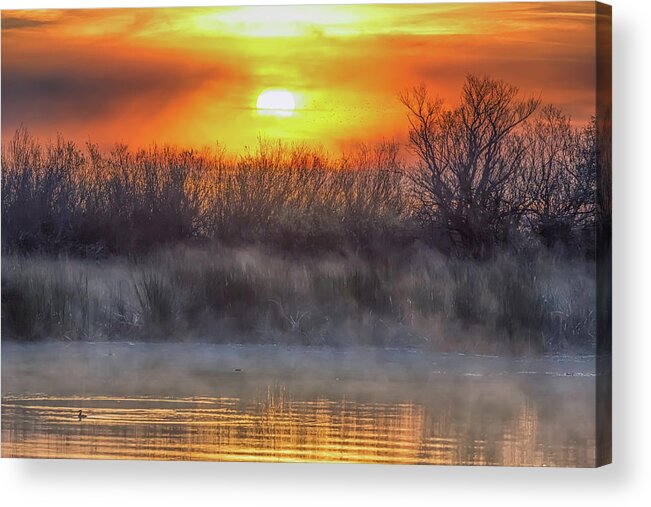 Landscape Acrylic Print featuring the photograph Delta Sunrise #1 by Marc Crumpler