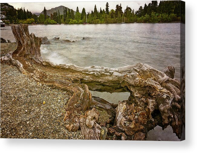 Joan Carroll Acrylic Print featuring the photograph Lakeside Driftwood by Joan Carroll