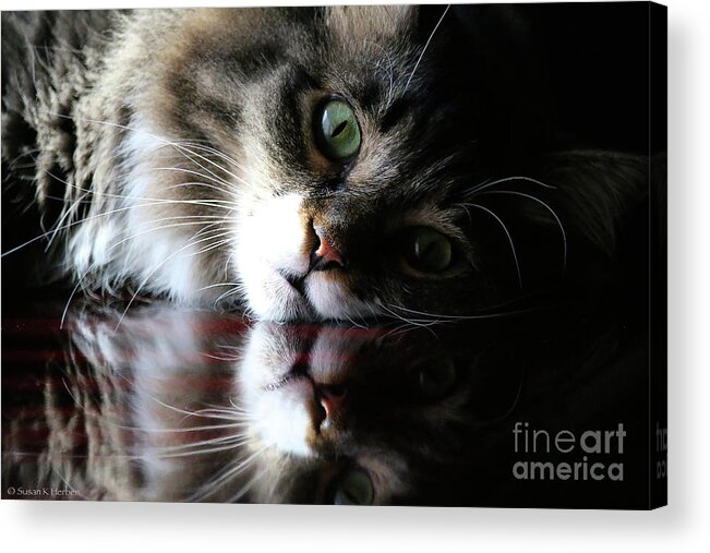 Animal Acrylic Print featuring the photograph Emerald Eyes #1 by Susan Herber