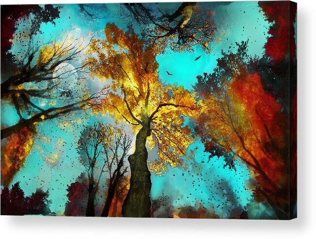 Trees Acrylic Print featuring the photograph Evening celebration #1 by Gina Signore