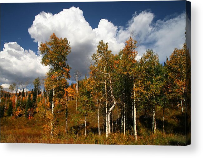 Autumn Acrylic Print featuring the photograph Fall Colors by Mark Smith