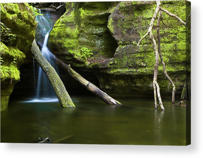 Waterfall Acrylic Print featuring the photograph Fallen #1 by Jason Wolters