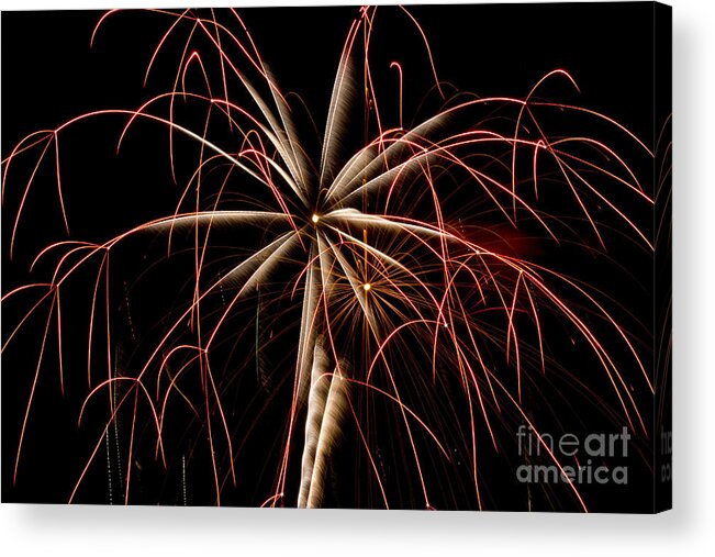 Fireworks 2016 Acrylic Print featuring the photograph Fireworks 2016 #1 by Tara Lynn