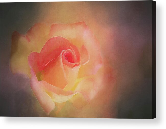 Rose Acrylic Print featuring the digital art First Bloom by Terry Davis
