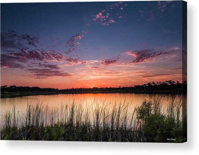Florida Acrylic Print featuring the photograph Florida Sunset #1 by Fran Gallogly