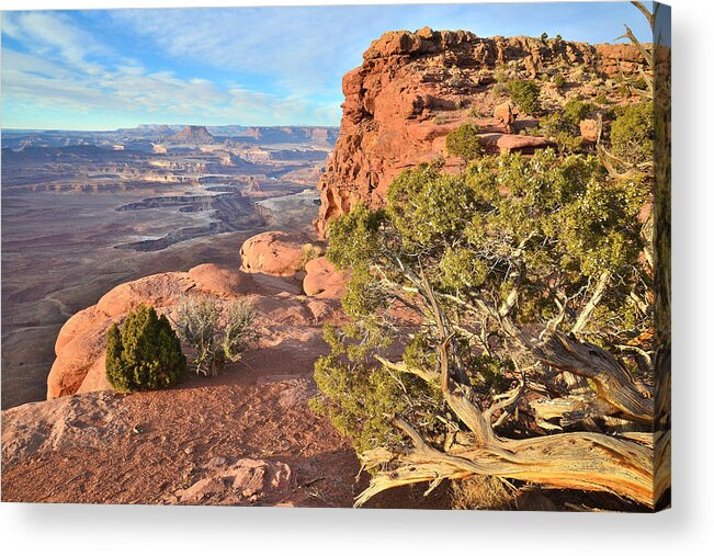 Canyonlands National Park Acrylic Print featuring the photograph Green River Overlook #4 by Ray Mathis