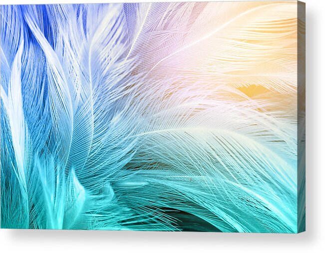 Green turquoise and blue color trends chicken feather texture background,Light  orange Acrylic Print by Nattaya Mahaum - Pixels
