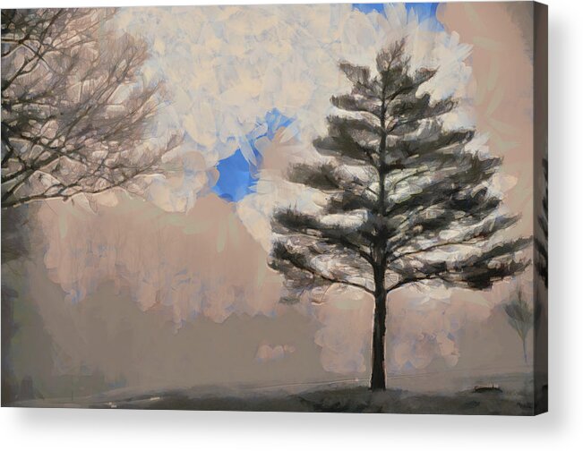 Clouds Acrylic Print featuring the mixed media Hickory #1 by Trish Tritz