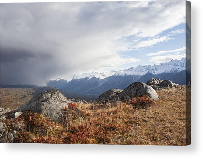 British Columbia Acrylic Print featuring the photograph High Country in Fall #1 by Michele Cornelius